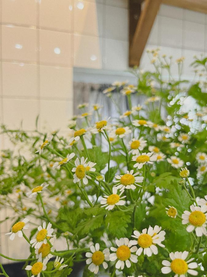 فندق Ivy House هوي المظهر الخارجي الصورة