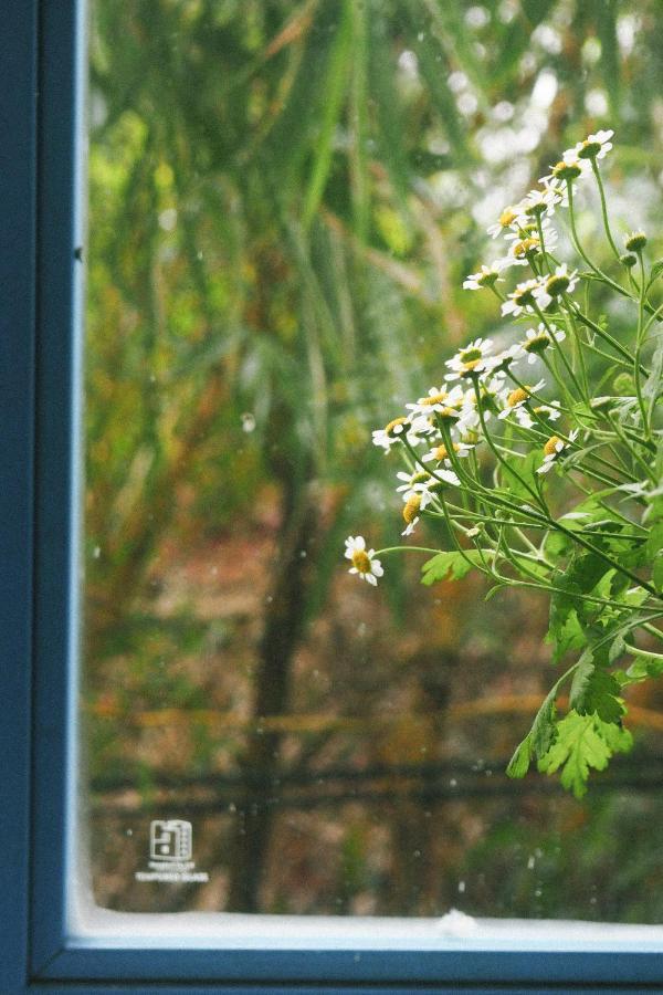 فندق Ivy House هوي المظهر الخارجي الصورة